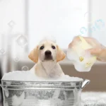 Silicone Dog Bath Massage Gloves Brush Pet Cat Bathroom Cleaning Tool Comb Brush for Dog Can Pour Shampoo Dog Grooming Supplies - Image 2