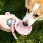 Stainless Steel Water Bottle Outdoor Dog Walking Folding Portable Water Cup With Lanyard Hook Leakproof Dog Water Drink Bottle - Image 2