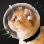 Cat Grooming Muzzle Anti Bite Breathable Pet Helmet - Image 3