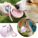 Stainless Steel Water Bottle Outdoor Dog Walking Folding Portable Water Cup With Lanyard Hook Leakproof Dog Water Drink Bottle