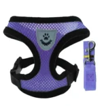 Adjustable Mesh Pet Harness with Leash, Polyester Vest Type Walking Strap for Small Medium Cats Dogs - Image 7