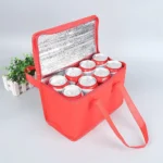 Portable Lunch Cooler Bag Folding Insulated Food Carrier - Image 3