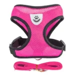 Adjustable Mesh Pet Harness with Leash, Polyester Vest Type Walking Strap for Small Medium Cats Dogs - Image 11