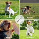 1/2Pcs Dog Whistle To Stop Barking, Adjustable Sound Pitch Dog Whistle With Keychain, Professional Recall Pet Puppy Cat Dog - Image 6