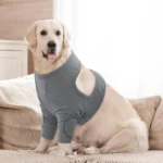 Breathable Dog Leg Sleeve Professional Long Sleeve Anti-lick Sleeve High Elasticity Polyester Knee Leg Guards Pet Protection