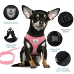 Adjustable Mesh Pet Harness with Leash, Polyester Vest Type Walking Strap for Small Medium Cats Dogs - Image 3