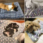 Flannel Pet Sleeping Mat Dog Bed Cat Litter Puppy Bed Dog Sofa Lovely Mattress Cushion for Small Large Dog Blanket For Winter - Image 4