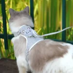 Lovely Small Pet Vest Chest Strap Dog Leash Traction Rope Walking Dog Cat Bunny Vest Harness Poodle Collar Leash Dog Accessories - Image 6