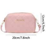 2024 Tassel Small Messenger Bag For Women Trend Lingge Embroidery Camera Female Shoulder Bag Fashion Chain Ladies Crossbody Bags - Image 6