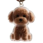 Clear Pet Hair Keychain Cute Dog Fur Keepsake Holder Creative Transparent Pet Hair Memorial Collection Pendant For Dog/Cat - Image 21