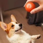 Dog Toy Ball Automatic Moving Bouncing Rolling Ball USB Smart Puppy Interactive Dog Chew Toy Ball - Image 5