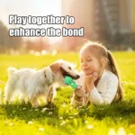 Dog Chew Toy Natural Rubber Safety and Environmental Protection Flexible Bite Resistance Clean Teeth - Image 2