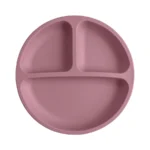 1PCS Baby Sucker Silicone Dining Plate BPA Free Children Dishes Suction Toddle Training Tableware Kids Feeding Bowls Baby Stuff - Image 17