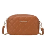 2024 Tassel Small Messenger Bag For Women Trend Lingge Embroidery Camera Female Shoulder Bag Fashion Chain Ladies Crossbody Bags - Image 7