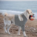 Breathable Dog Leg Sleeve Professional Long Sleeve Anti-lick Sleeve High Elasticity Polyester Knee Leg Guards Pet Protection - Image 5