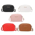 2024 Tassel Small Messenger Bag For Women Trend Lingge Embroidery Camera Female Shoulder Bag Fashion Chain Ladies Crossbody Bags - Image 5