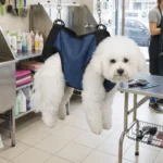 Adjustable Straps Dog Sling Harness Breathable with Pockets Carry Dog Shoulder Bag Soft Dog Lift Harness Walking The Dog - Image 3