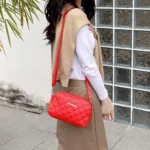 2024 Tassel Small Messenger Bag For Women Trend Lingge Embroidery Camera Female Shoulder Bag Fashion Chain Ladies Crossbody Bags - Image 4