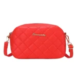 2024 Tassel Small Messenger Bag For Women Trend Lingge Embroidery Camera Female Shoulder Bag Fashion Chain Ladies Crossbody Bags - Image 11