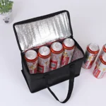 Portable Lunch Cooler Bag Folding Insulated Food Carrier - Image 2
