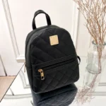 Embroidered Backpack 2021 Women's Bags Korean Version Girls' Backpack, One Piece Dropshipping Stylish Women's Backpack - Image 4