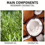 Rosemary Oil Hair Essential Coconut Oil Improve Hair Loss And Nourishes Strengthen Hair Roots Scalp Treatment Hair Care - Image 6