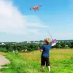 Kids Cartoon Kite 35cm Eagle & Butterfly with 50m Line - Image 3