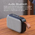 Portable Bluetooth Speaker 3W with FM Radio & TF Card Support - Image 6