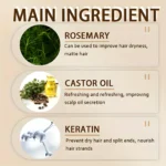 Biotin Hair Growth Shampoo Anti-Hair Loss Treatment for Men and Women Rapid Thickening and Re-Oil Beauty Health - Image 2